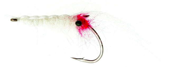 Ghostshrimp White