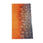 Halsedisse Brook Trout Scales