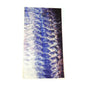 Halsedisse Tarpon Scales 2