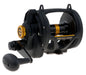 PENN Squall® Lever Drag 2 Speed â€“ PENN_Squall_Lever_Drag_2_Speed_SQL30VSW_alt1.jpg
