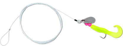 Quantum Magic Trout Jig Rig Propel