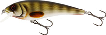 Westin Rawbite 15cm 61g