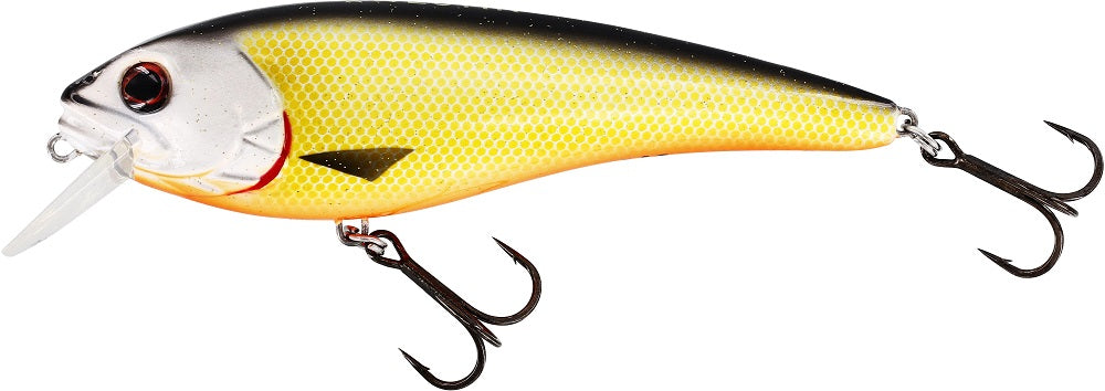 Westin Rawbite 11cm 26g
