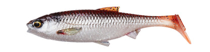 Savage Gear 3D River Roach Bulk â€“ SVS74285.jpg