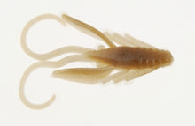 Berkley PowerBait Power Nymph 2cm