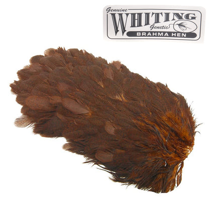 Whiting Brahma Høne Saddle
