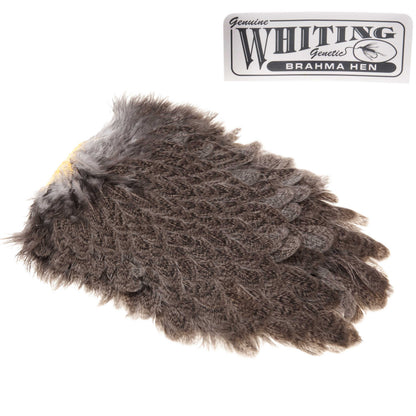 Whiting Brahma Høne Saddle