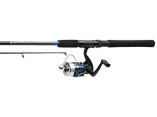 c203_1_large.jpg