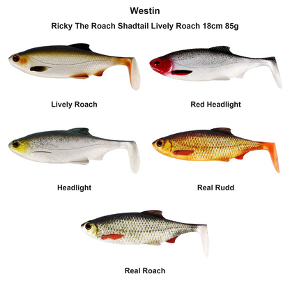 Farveoversigt – Westin Ricky The Roach Shadtail Lively Roach 18cm 85g
