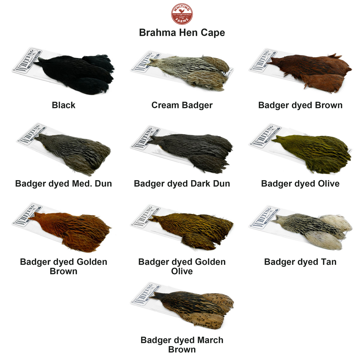 Farveoversigt – Whiting Brahma Hen Cape