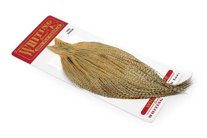 Whiting Rooster Cape – Pro Grade â€“ dealerweb-cms-01013b06-7c40-4d1d-b369-86dd08790345.jpg