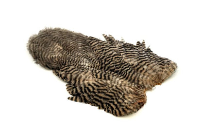 Whiting Rooster SH/C â€“ dealerweb-cms-037c8e05-884a-4ec4-a658-78deccec02d7.jpg