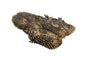 Whiting Rooster SH/C â€“ dealerweb-cms-037c8e05-884a-4ec4-a658-78deccec02d7.jpg