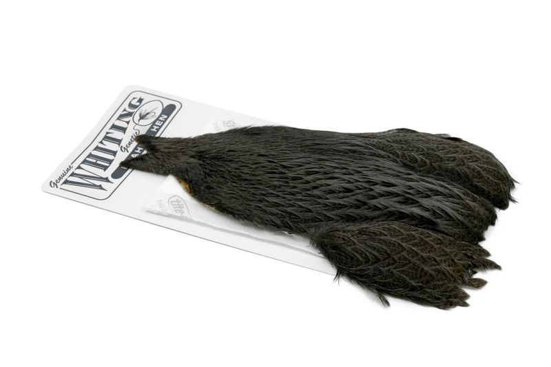 Whiting Brahma Hen Cape â€“ dealerweb-cms-0a0cafe0-8543-4b19-bb12-dad3bfd4a19a.jpg