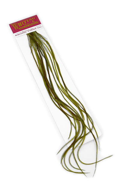Whiting 100-pk – Size 14 â€“ dealerweb-cms-0f4826c9-21fe-411a-a2a9-4dac7c23319f.jpg