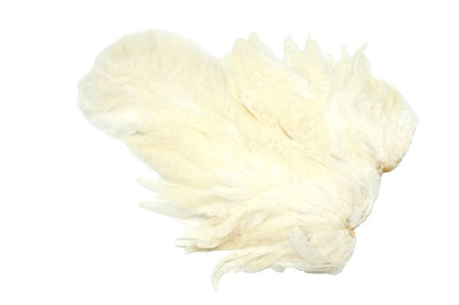 Whiting Rooster SH/C â€“ dealerweb-cms-11e77778-6762-45a6-89b5-ffa279ef131c.jpg