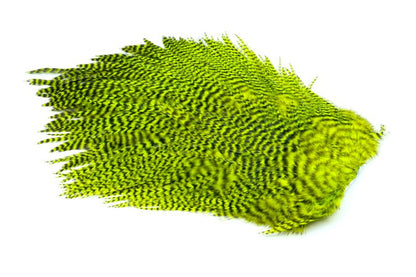 Whiting 4 B's Rooster Saddle â€“ dealerweb-cms-12fab62d-9a3f-423a-a2ad-37014c476632.jpg