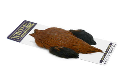 Whiting American Rooster Cape â€“ dealerweb-cms-151ab461-c75b-4c6c-b557-e5f91fc9e468.jpg