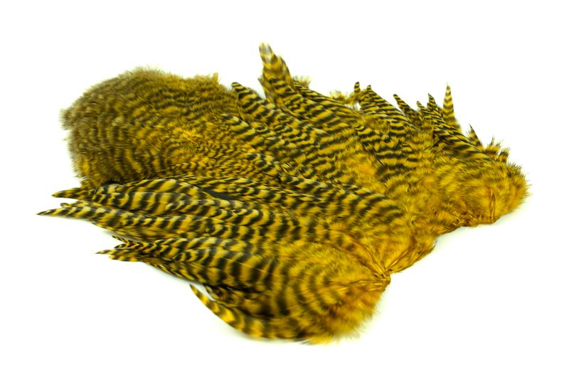Whiting Rooster SH/C â€“ dealerweb-cms-18e96430-94c6-41f4-8590-32efe24c8daf.jpg
