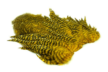 Whiting Rooster SH/C â€“ dealerweb-cms-18e96430-94c6-41f4-8590-32efe24c8daf.jpg