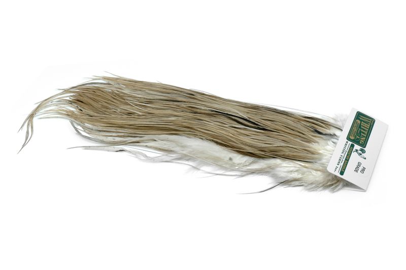 Whiting Hebert Rooster Saddle – Pro Grade â€“ dealerweb-cms-201d6923-b84d-4f7a-ab7b-f54a881696c1.jpg