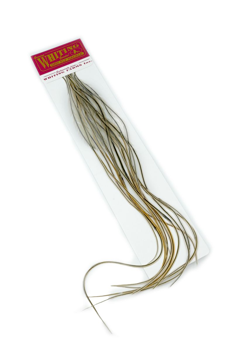 Whiting 100-pk – Size 16 â€“ dealerweb-cms-2e1c074f-b61b-4400-b70a-79a3859cdb15.jpg