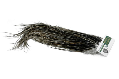 Whiting Hebert Rooster Saddle – Bronze â€“ dealerweb-cms-2f15a9d5-e78e-4f31-8596-c2fedabee9fa.jpg