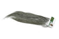 Whiting Hebert Rooster Saddle – Bronze â€“ dealerweb-cms-3af31f56-69b8-4be9-b963-7dace3f1e17c.jpg