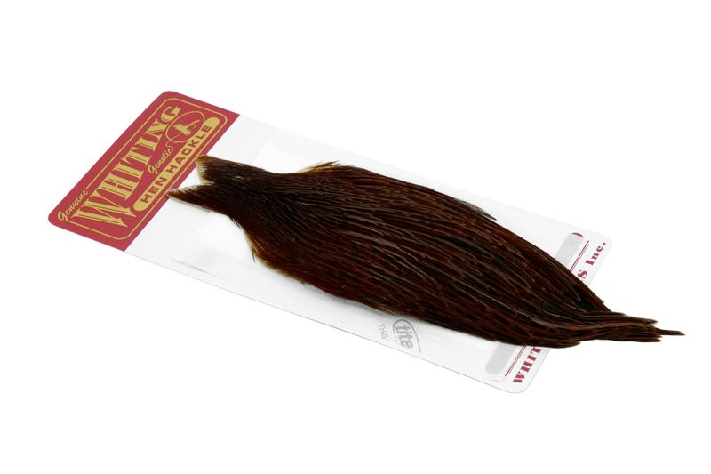 Whiting Hen Cape â€“ dealerweb-cms-440e292f-8037-4109-aadb-12edb9a27ce1.jpg