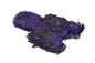 Whiting Brahma Hen SH/C â€“ dealerweb-cms-599ce329-e8e7-45a9-8868-27ea24e2b5b2.jpg