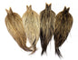 Whiting Heritage Rooster Cape â€“ dealerweb-cms-5c6e46e1-f1e9-4448-b8be-3d84bec6fcec.jpg