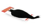 Whiting Rooster Cape – Bronze â€“ dealerweb-cms-5f4244a3-d9d1-4fd4-b7b9-1a022b65a89b.jpg