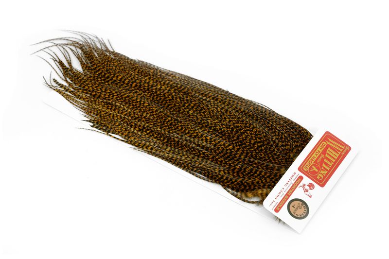 Whiting Rooster Saddle – Pro Grade â€“ dealerweb-cms-626b3e42-0c3e-400d-8c26-b628eea08611.jpg