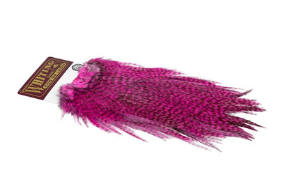 Whiting Coq de Leon Rooster Saddle – Silver â€“ dealerweb-cms-6b296882-9e39-4e96-ae7e-07e9e86129e1.jpg