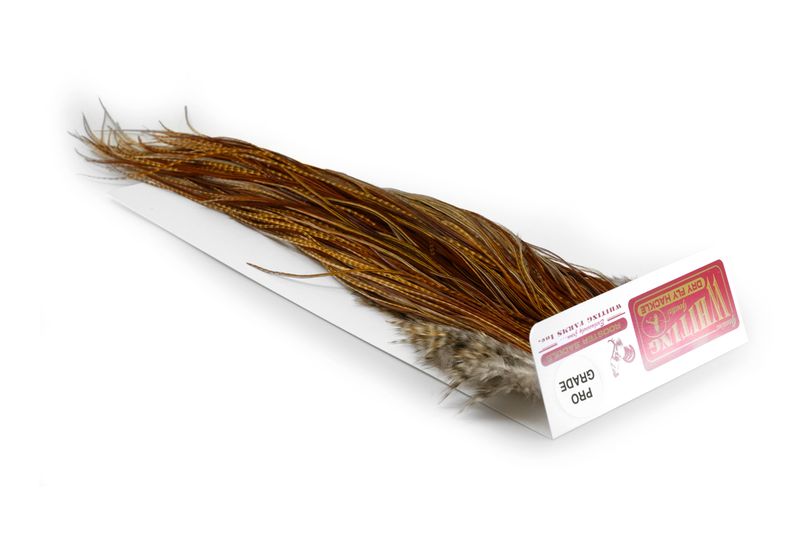 Whiting Rooster Saddle – Pro Grade â€“ dealerweb-cms-6fb2b929-5fc2-46c2-b16e-358f62880142.jpg