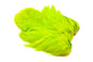 Whiting Rooster SH/C â€“ dealerweb-cms-70bae737-1153-4053-94e1-a156dc88db23.jpg