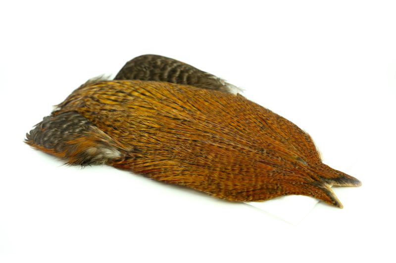 Whiting 4 B's Rooster Cape â€“ dealerweb-cms-744a67ad-7442-469e-b473-057473314b16.jpg