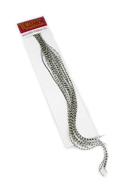 Whiting 100-pk – Size 14 â€“ dealerweb-cms-7d0f5887-a856-45d9-94fb-a7f22a2701b9.jpg