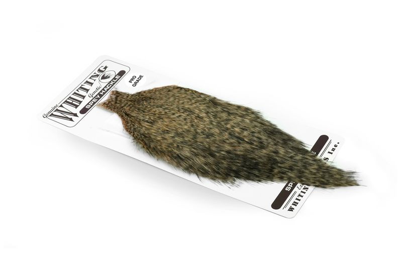 Whiting Spey Hackle Rooster Cape – Pro Grade â€“ dealerweb-cms-80c12d75-a668-43d7-800b-d3eb9a64223f.jpg