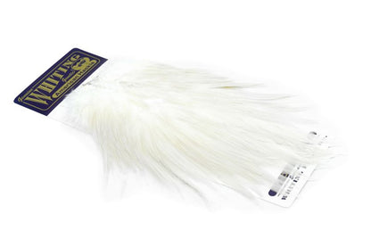 Whiting American Rooster Saddle â€“ dealerweb-cms-83fdf4b6-a97d-4f61-b18d-1b26fedad5e7.jpg