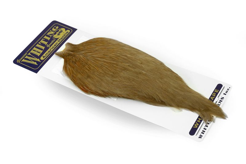 Whiting American Rooster Cape â€“ dealerweb-cms-8646a072-5b58-466d-9869-5632bc4a6320.jpg