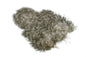 Whiting Spey SH/C â€“ dealerweb-cms-88a48d96-48aa-48d9-8818-d0b5b6a810fd.jpg