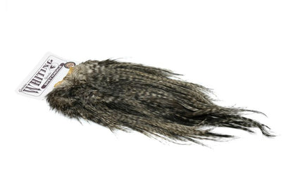 Whiting Spey Hackle Rooster Saddle – Bronze â€“ dealerweb-cms-932f3e9e-e098-4979-abb6-10f816621914.jpg