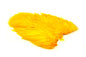 Whiting Rooster SH/C â€“ dealerweb-cms-94c88116-a2b8-4691-9b2f-b4b801c2c07f.jpg