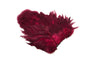 Whiting Rooster SH/C â€“ dealerweb-cms-956d4dde-6dc6-4069-a212-a8417962ec17.jpg