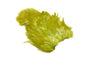 Whiting Rooster SH/C â€“ dealerweb-cms-a0e8ac49-787f-475e-be8f-fd607e12aeb3.jpg