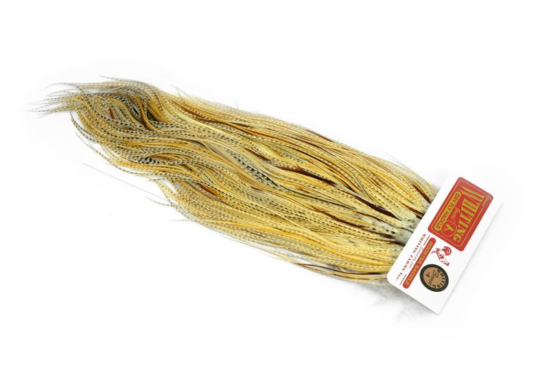 Whiting Rooster Saddle – Bronze â€“ dealerweb-cms-a172714a-f425-4e87-b058-c108814f7950.jpg