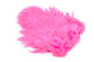 Whiting Rooster SH/C â€“ dealerweb-cms-a2090d17-29b0-4845-b31a-301c9f92a6d7.jpg