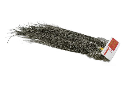 Whiting Rooster Saddle – Commercial Grade â€“ dealerweb-cms-addb74ae-a480-45f2-9178-eaf6d00e9450.jpg