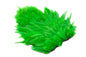 Whiting Rooster SH/C â€“ dealerweb-cms-aeb82f28-802b-47b5-82e3-e20ce48fe272.jpg